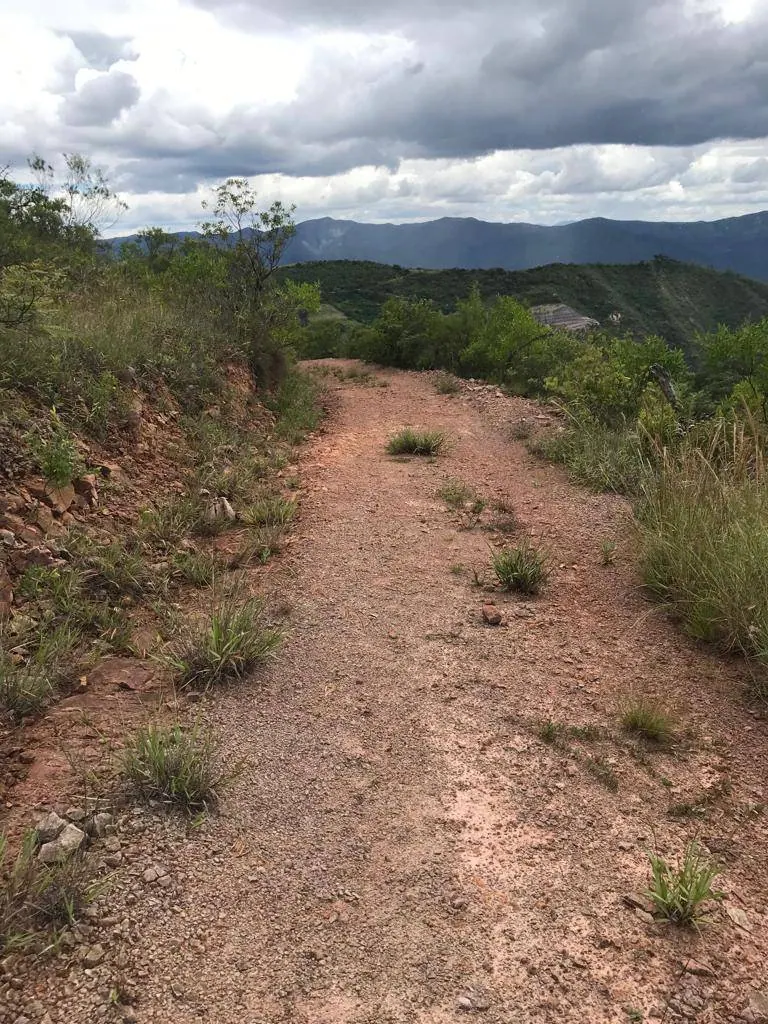 Quinta de 6,5 hectáreas en venta en Samaipata, a 8 km de la plaza: foto 7 de 11