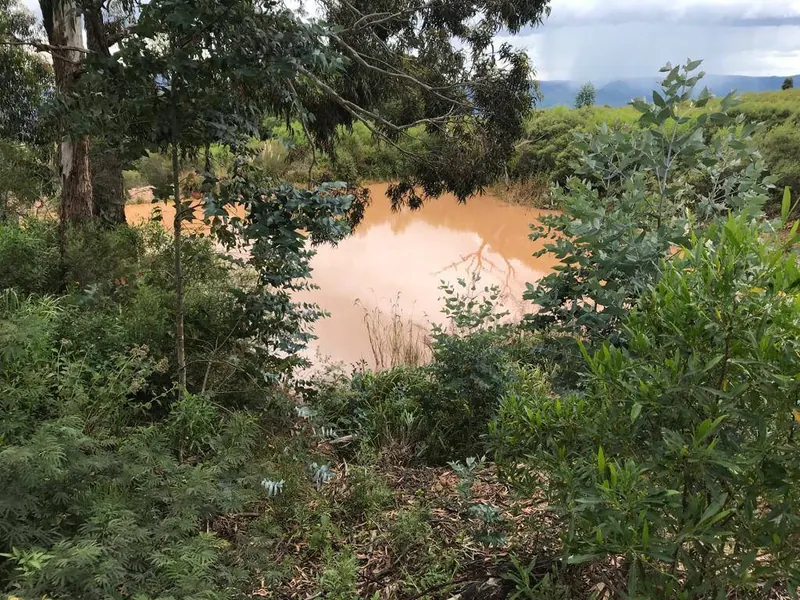 5-hectare country property for sale in Samaipata, 8 km from the main: foto 5 de 11