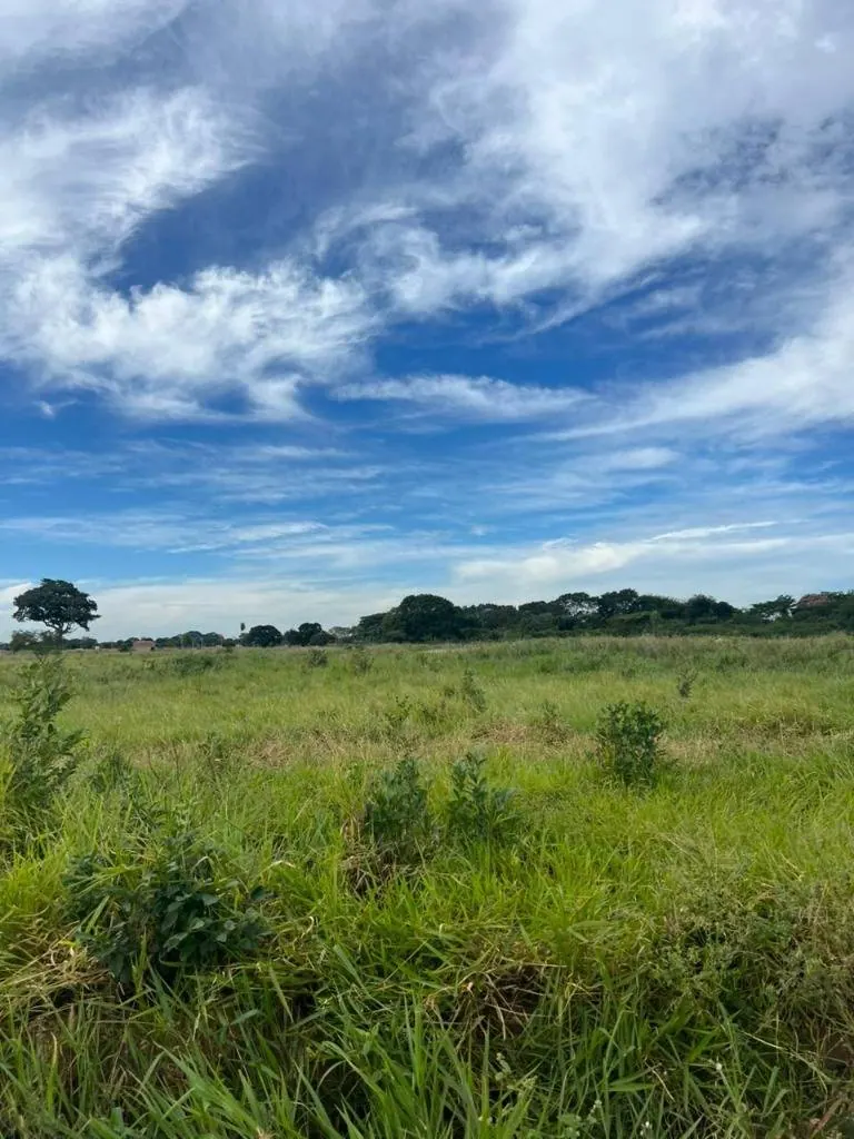 Terreno de 200 m² en venta en Olivos del Norte 4, Warnes: foto 3 de 10