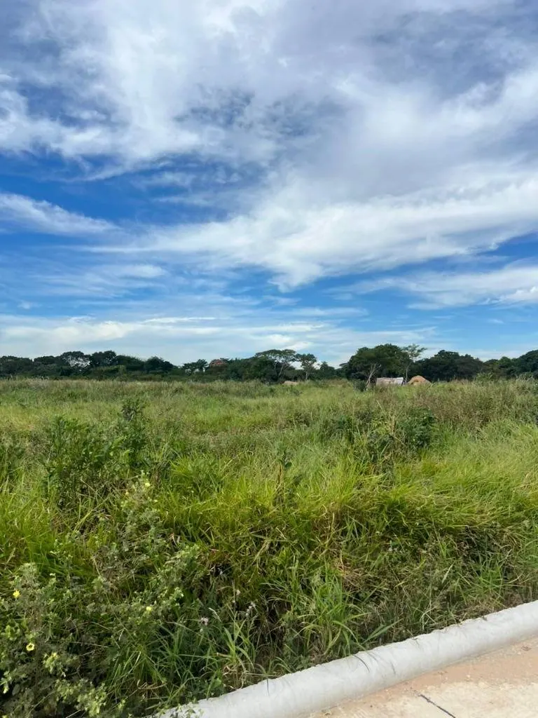 Terreno de 200 m² en venta en Olivos del Norte 4, Warnes: foto 5 de 10