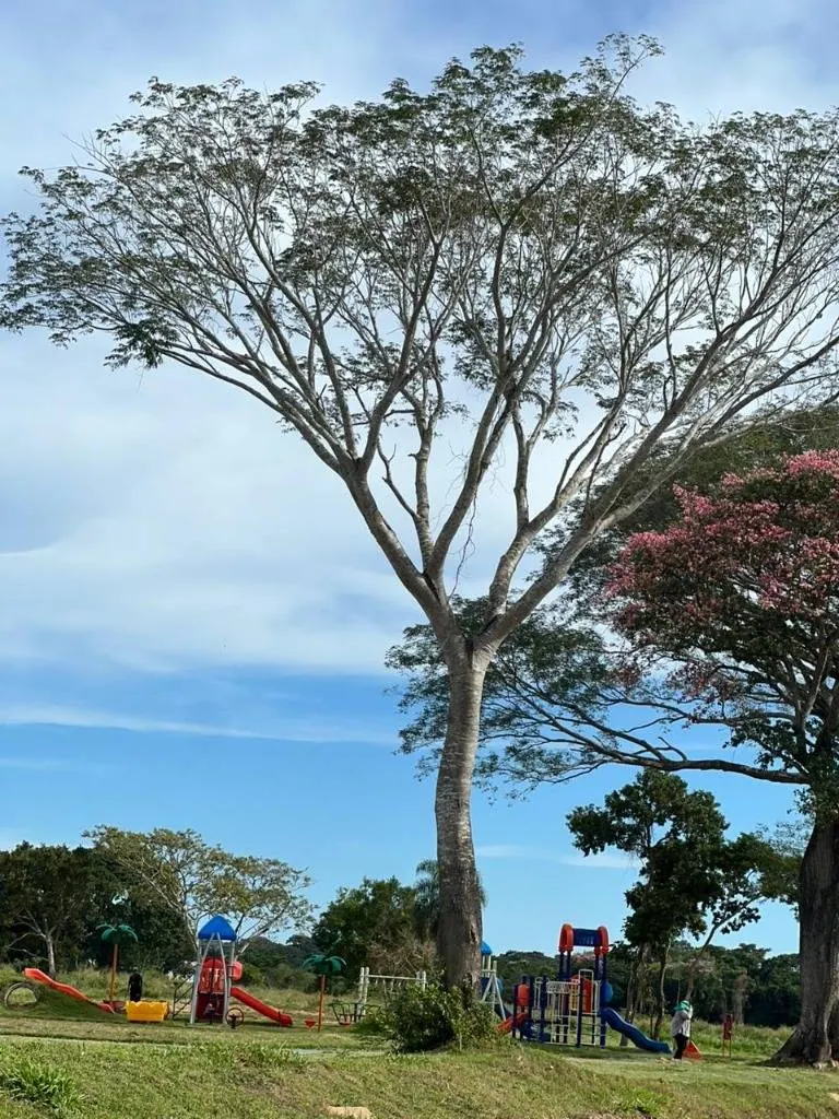 Terreno de 200 m² en venta en Olivos del Norte 4, Warnes: foto 9 de 10