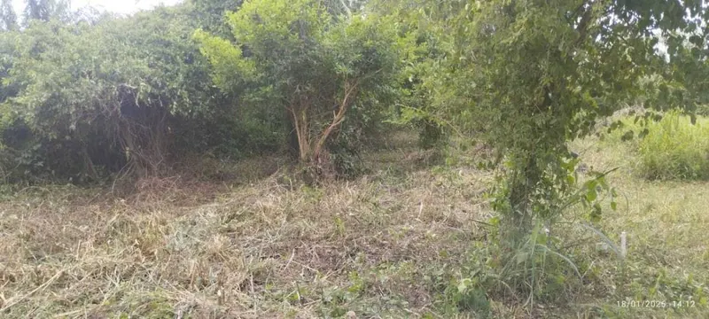 300 m² lot for sale in the Pentaguazú 2 development, Warnes: foto 1 de 3
