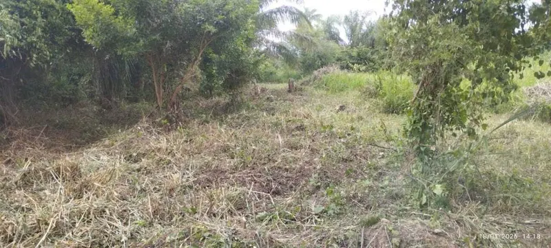 300 m² lot for sale in the Pentaguazú 2 development, Warnes: foto 2 de 3