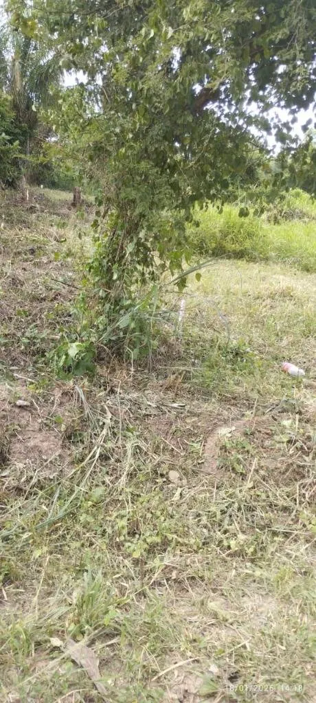300 m² lot for sale in the Pentaguazú 2 development, Warnes: foto 3 de 3