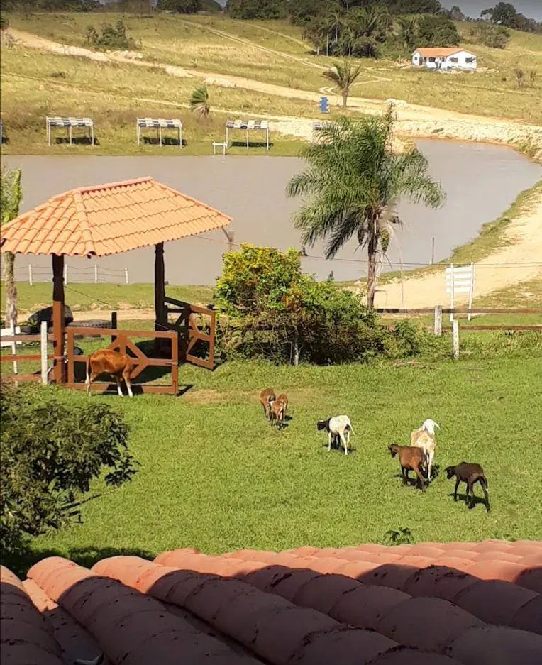 524.11 m² lot for sale in the North Zone: foto 7 de 7