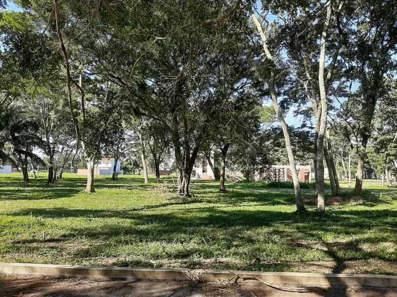 240 m² lot for sale in the Los Olivos development, North Zone: foto 3 de 9