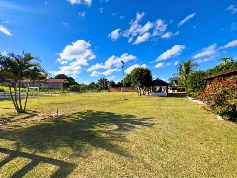 Quinta de 5.851 m² en venta en Las Cruces, camino a Los Batos: foto 2 de 14