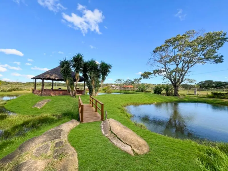 Quinta de 5.851 m² en venta en Las Cruces, camino a Los Batos: foto 13 de 14