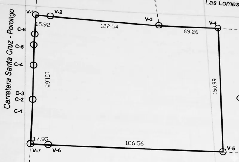 Terreno de 31.092 m² en venta sobre carretera a Porongo, Urubó: foto 4 de 4