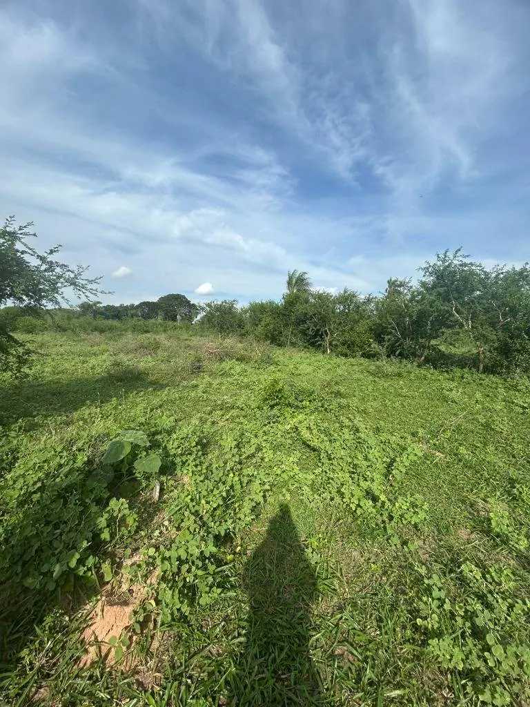 350 m² lot for sale in Tierra Santa Norte II, Warnes: foto 3 de 6
