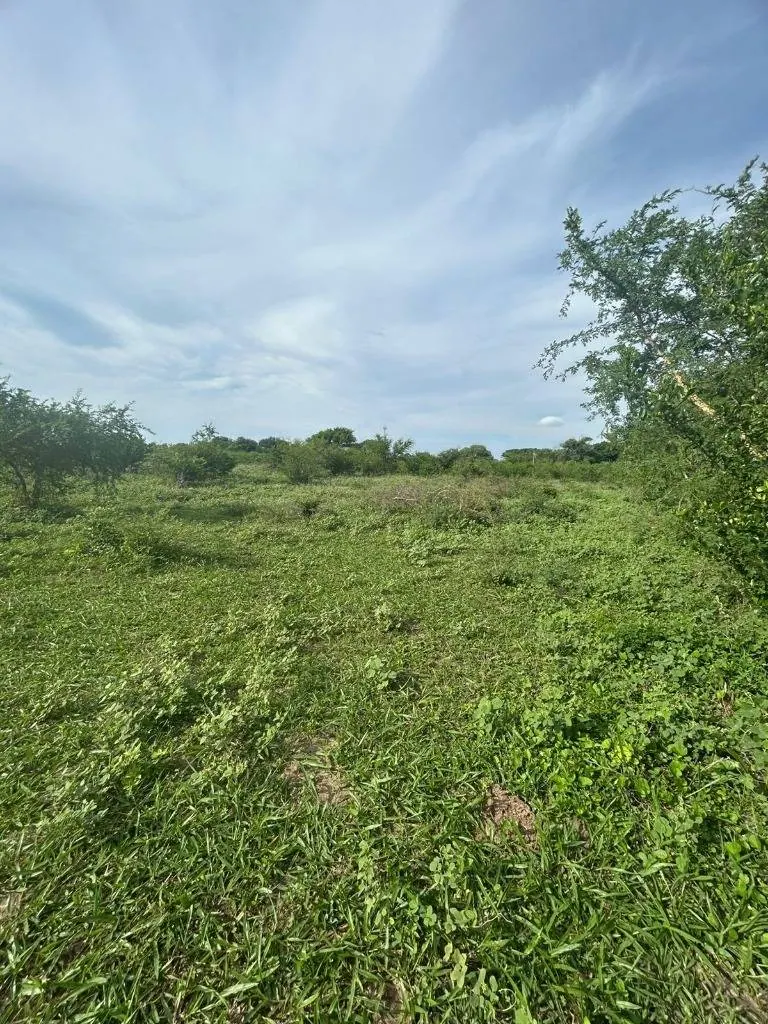 350 m² lot for sale in Tierra Santa Norte II, Warnes: foto 4 de 6