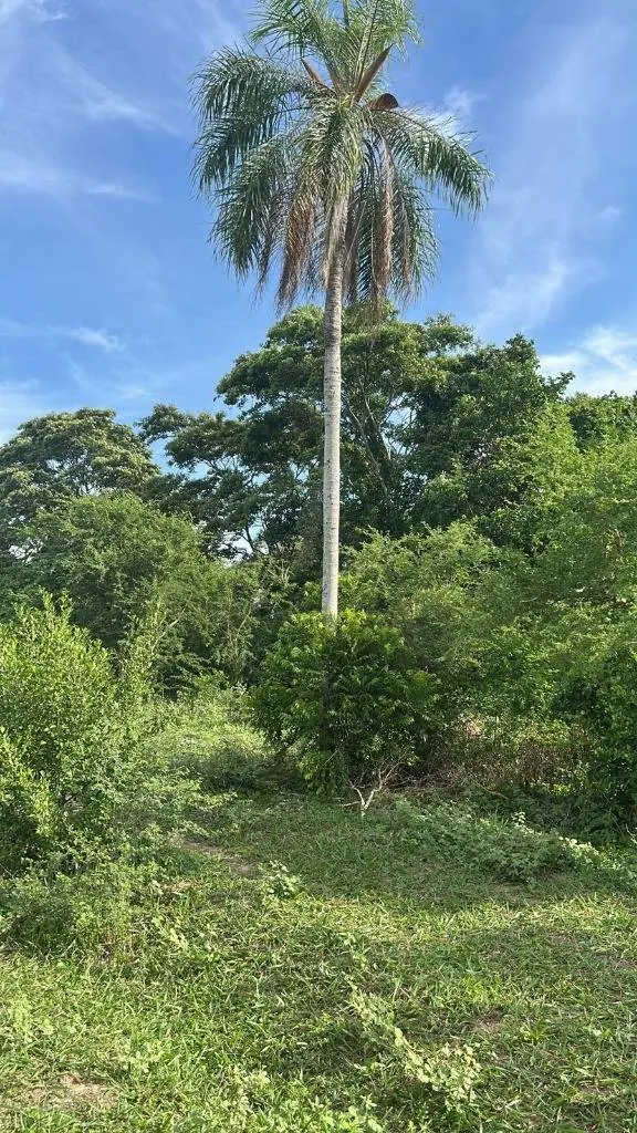350 m² lot for sale in Tierra Santa Norte II, Warnes: foto 6 de 6