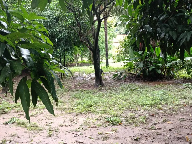 Casa de 2 dormitorios en venta en La Guardia, km 12 doble vía: foto 1 de 12