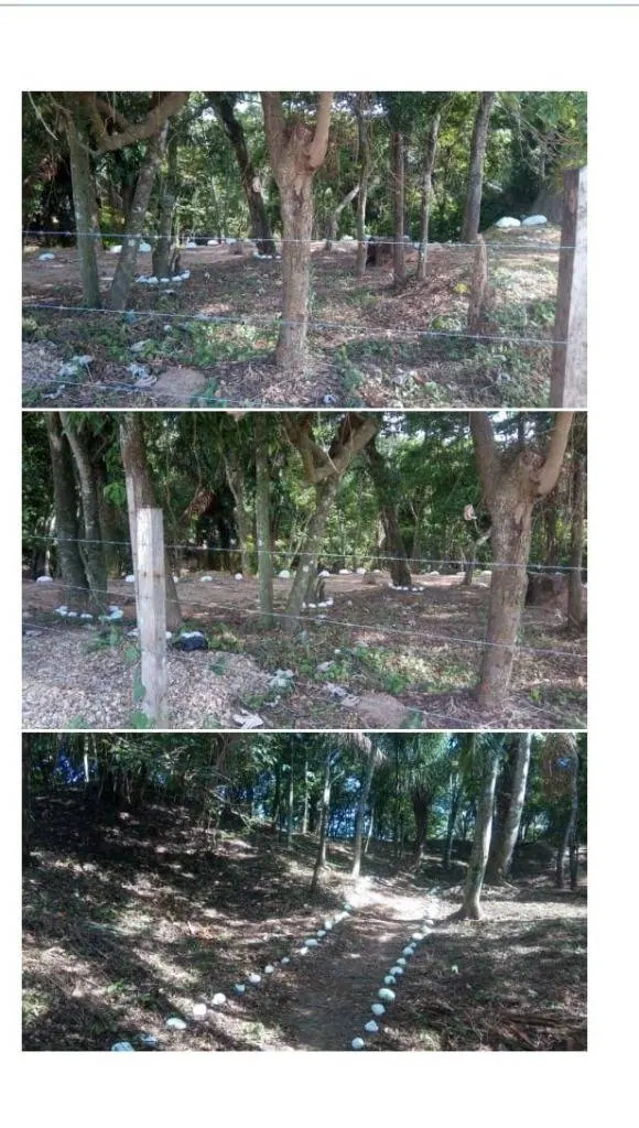 10 m² lot for sale in Santa Cruz: foto 13 de 15
