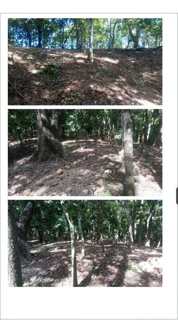 10 m² lot for sale in Santa Cruz: foto 11 de 15