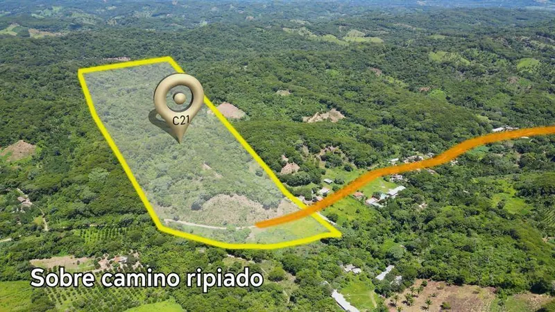 22.72 ha rural property for sale in La Guardia: foto 2 de 4