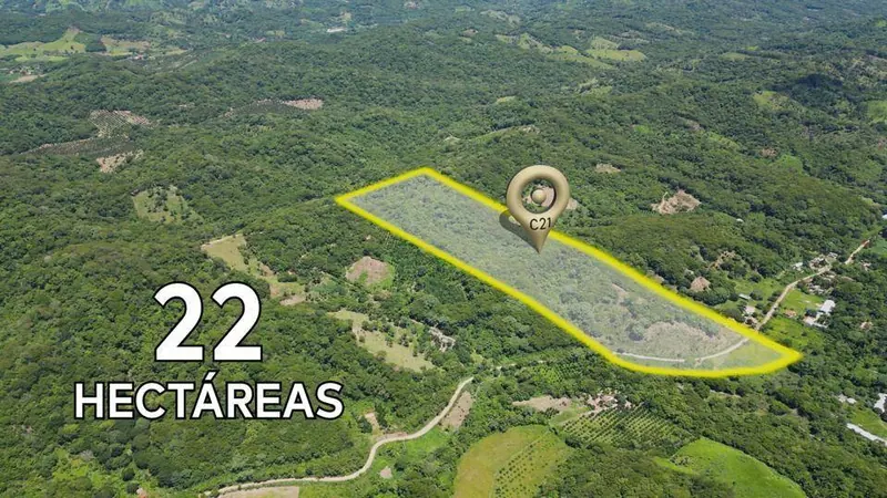 22.72 ha rural property for sale in La Guardia: foto 3 de 4