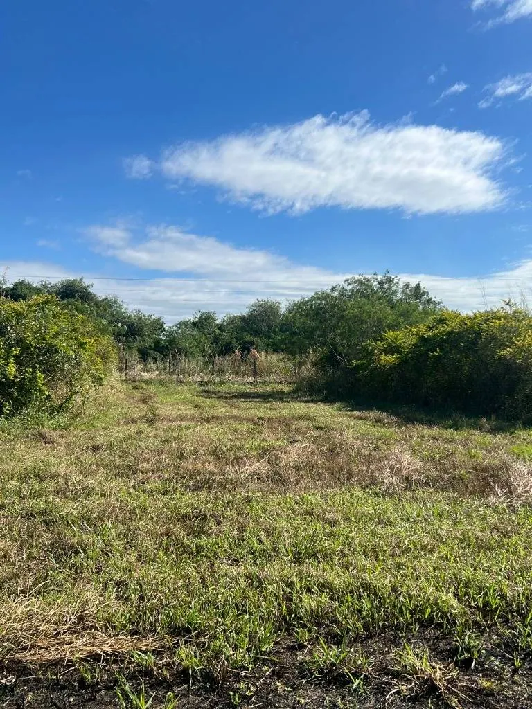 Terreno de 604 m² en venta en Complejo Campestre Norte 1, Warnes: foto 4 de 7