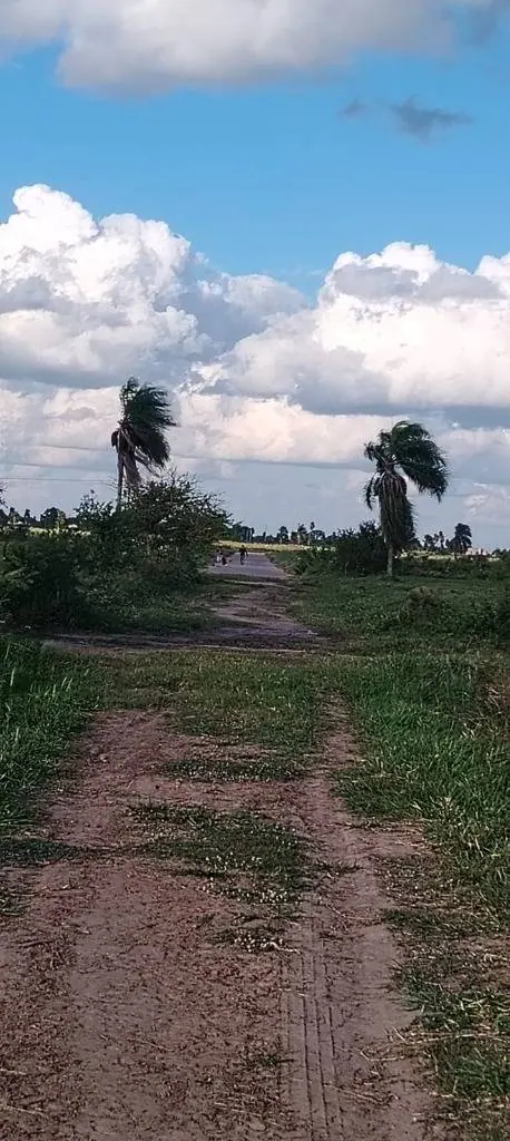Terreno de 300 m² en venta en la urbanización Celina VII, Warnes: foto 3 de 6