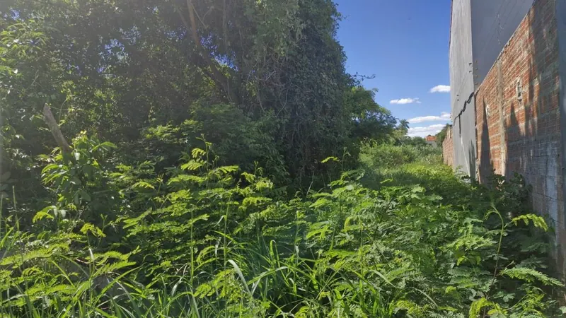 Terreno de 375,96 m² en venta sobre la carretera a Cotoca: foto 2 de 9