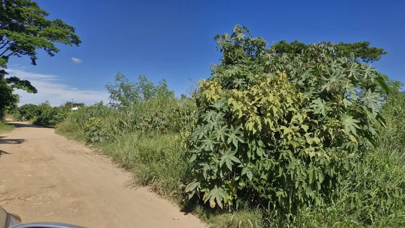 Terreno de 375,96 m² en venta sobre la carretera a Cotoca: foto 4 de 9