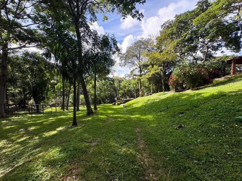 12,697 m² country property for sale in El Bosque, La Guardia: foto 9 de 20