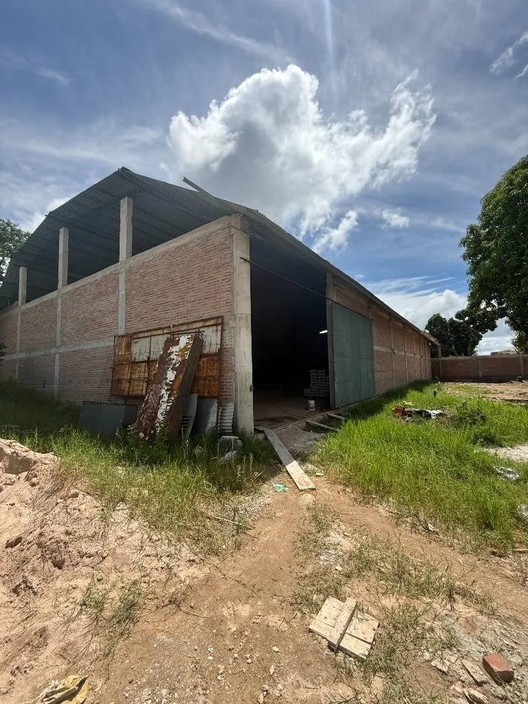 800 m² warehouse for rent on Av. Alemana and the 8th ring: foto 4 de 8