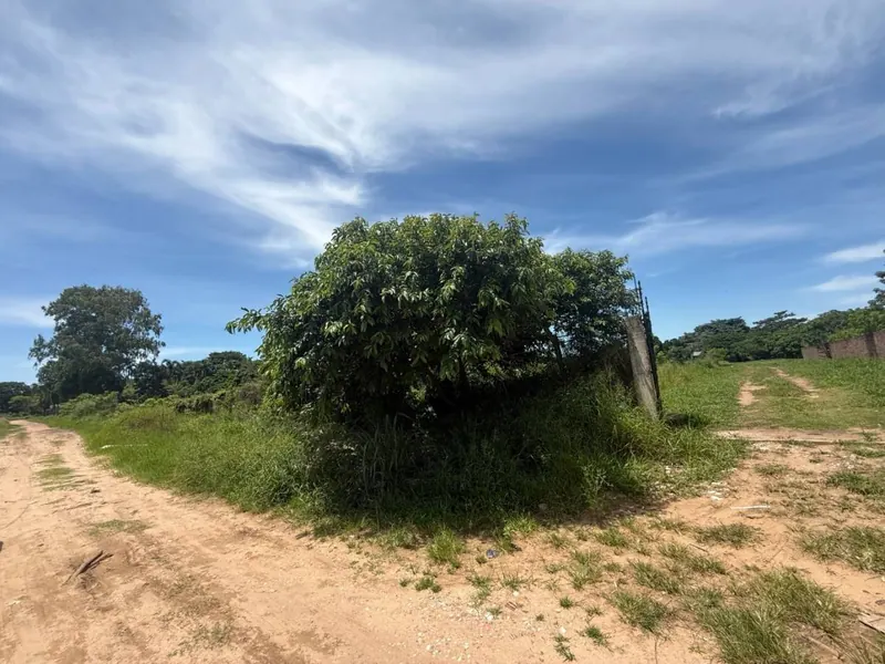 10,000 m² lot for rent facing the San Lorenzo Seminary: foto 4 de 6