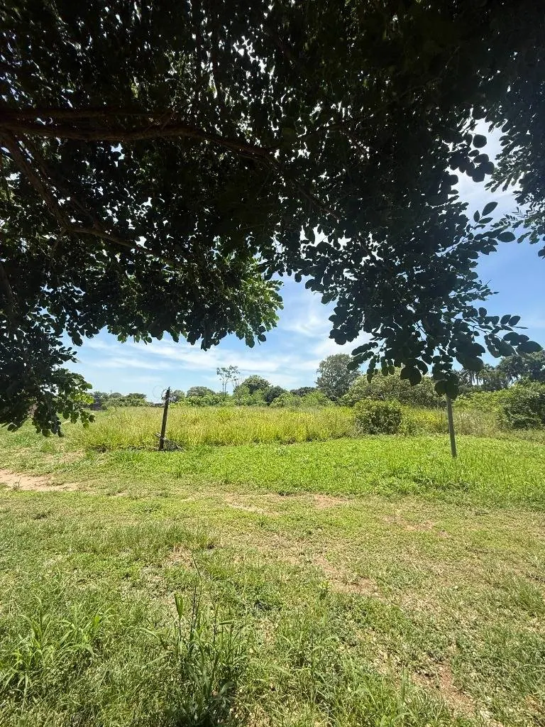 10,000 m² lot for rent facing the San Lorenzo Seminary: foto 5 de 6