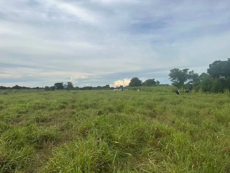 75.50-hectare cattle property for sale in Montero Hoyos: foto 2 de 20