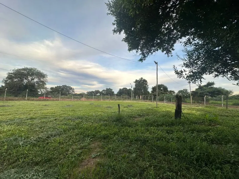 75.50-hectare cattle property for sale in Montero Hoyos: foto 4 de 20