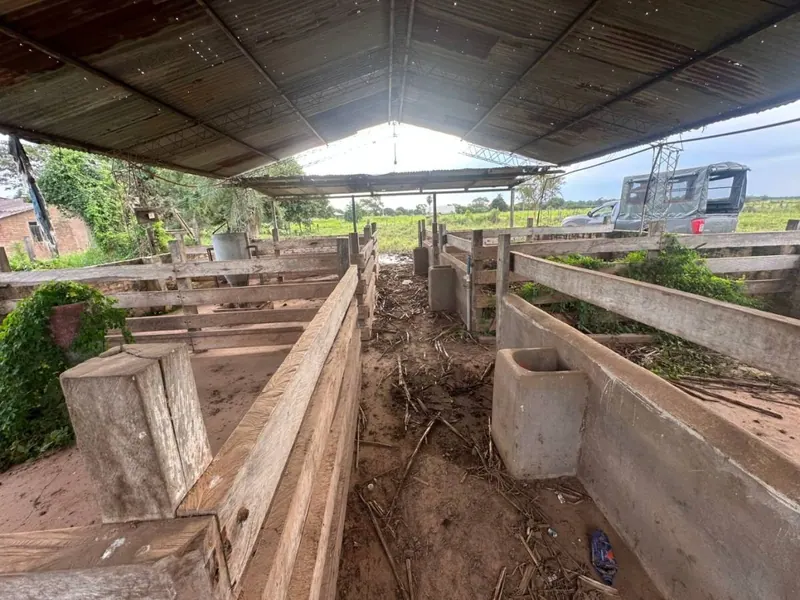 75.50-hectare cattle property for sale in Montero Hoyos: foto 5 de 20