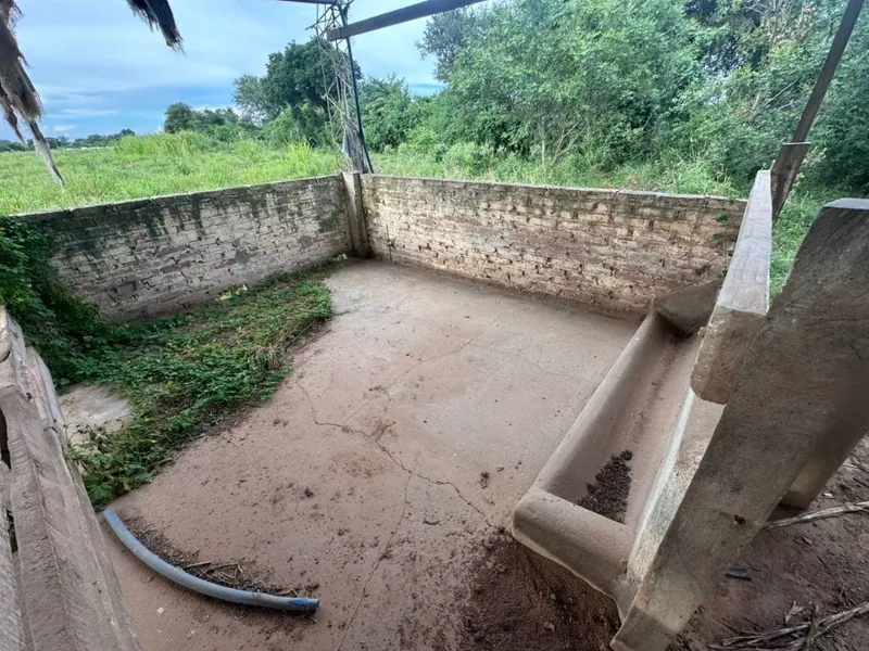 75.50-hectare cattle property for sale in Montero Hoyos: foto 8 de 20