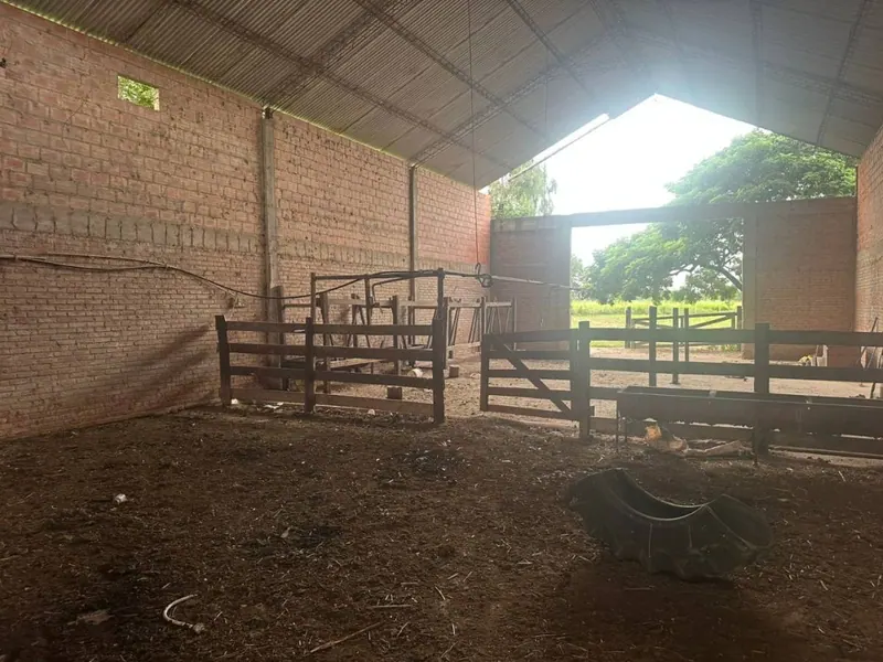 75.50-hectare cattle property for sale in Montero Hoyos: foto 10 de 20