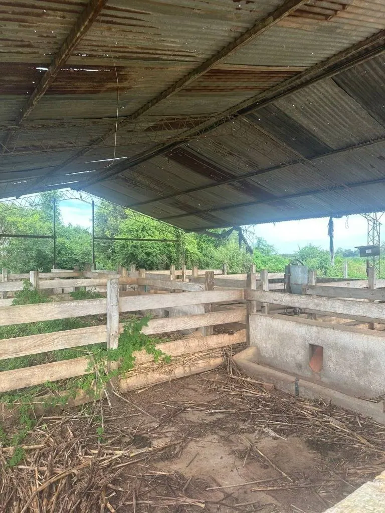 75.50-hectare cattle property for sale in Montero Hoyos: foto 13 de 20