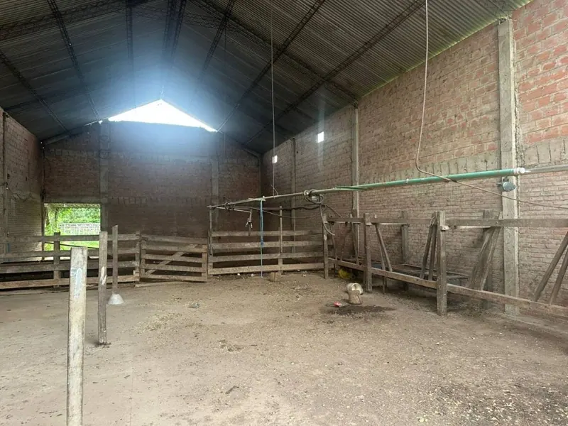 75.50-hectare cattle property for sale in Montero Hoyos: foto 14 de 20