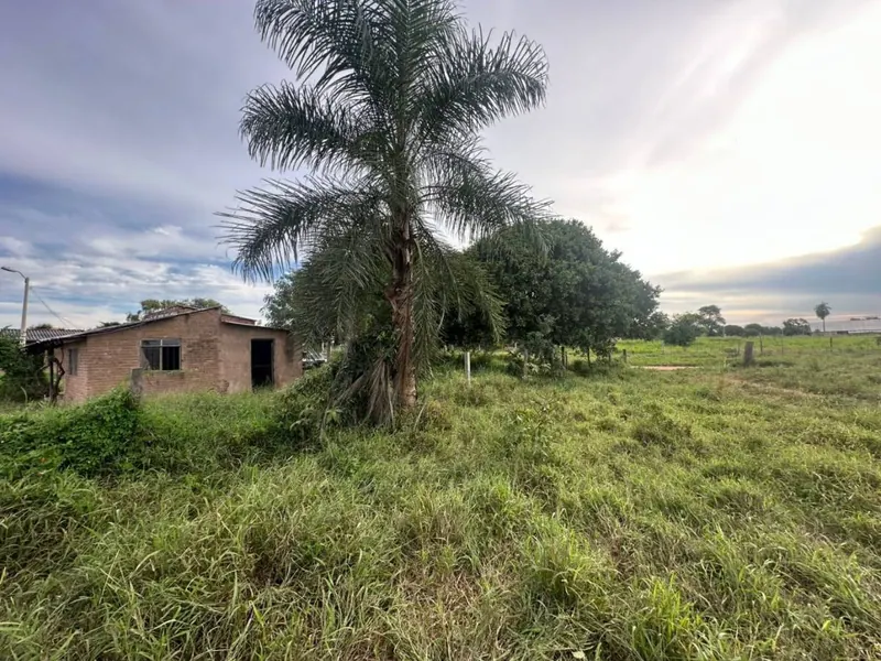 75.50-hectare cattle property for sale in Montero Hoyos: foto 16 de 20