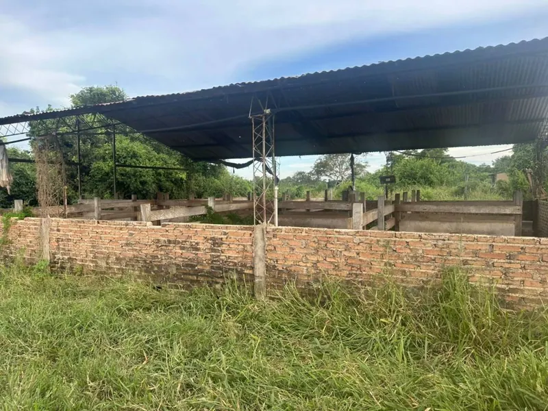 75.50-hectare cattle property for sale in Montero Hoyos: foto 20 de 20