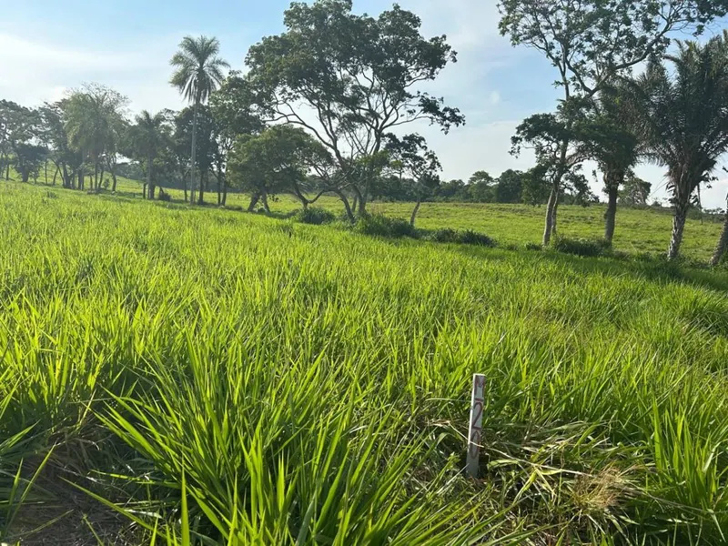Terreno de 300 m² en venta en la Urbanización Campestre Urubó II: foto 3 de 9