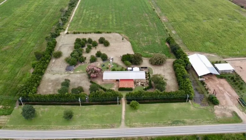 52.8 ha agricultural and livestock property for sale in Nueva Estrella