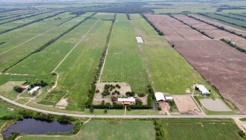52.8 ha agricultural and livestock property for sale in Nueva Estrella: foto 3 de 15
