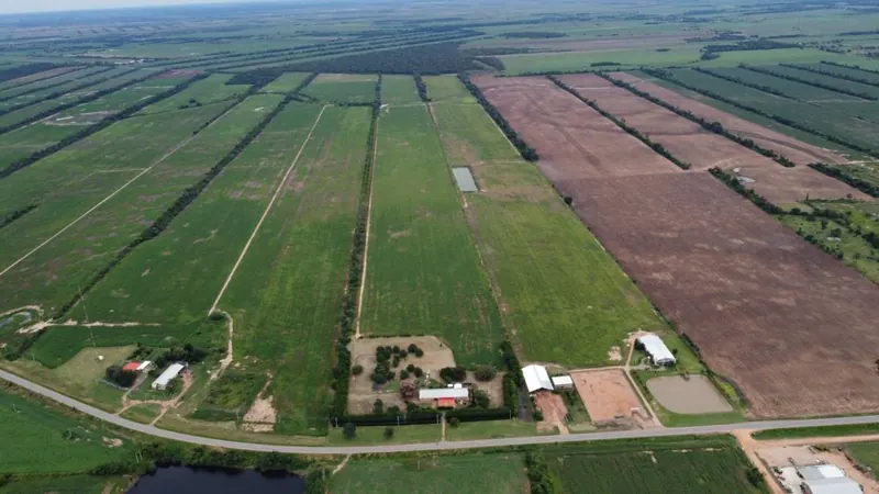 52.8 ha agricultural and livestock property for sale in Nueva Estrella: foto 12 de 15
