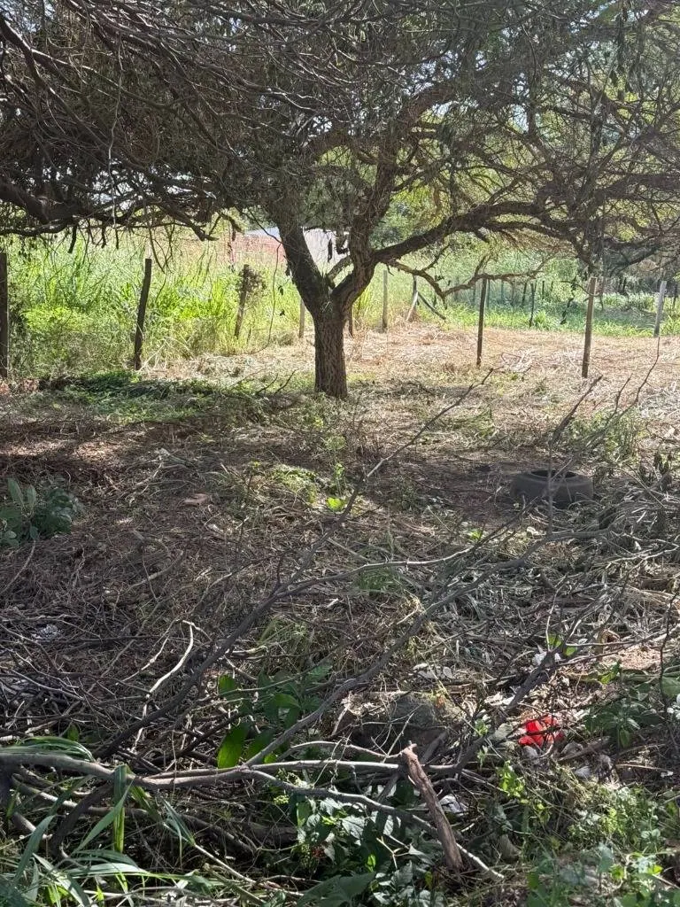 Terreno de 302,50 m² en venta en la Zona Norte, 9no anillo: foto 4 de 4