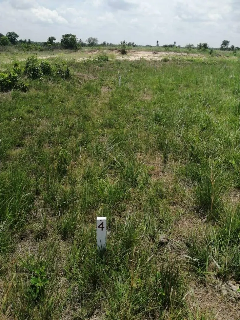 Terreno de 306,86 m² en venta en el condominio Playa Motacú, Urubó: foto 5 de 5