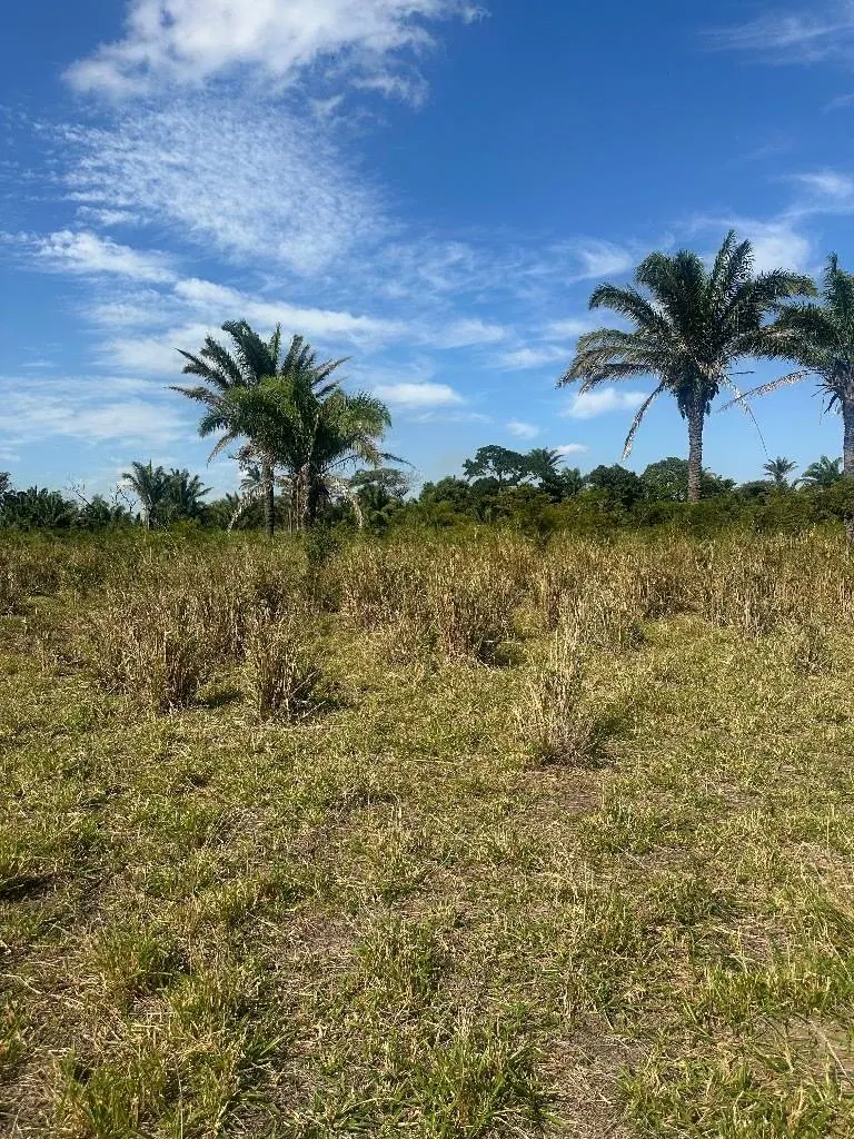 Terreno de 353,91 m² en venta en Villa Alina, Warnes: foto 2 de 5