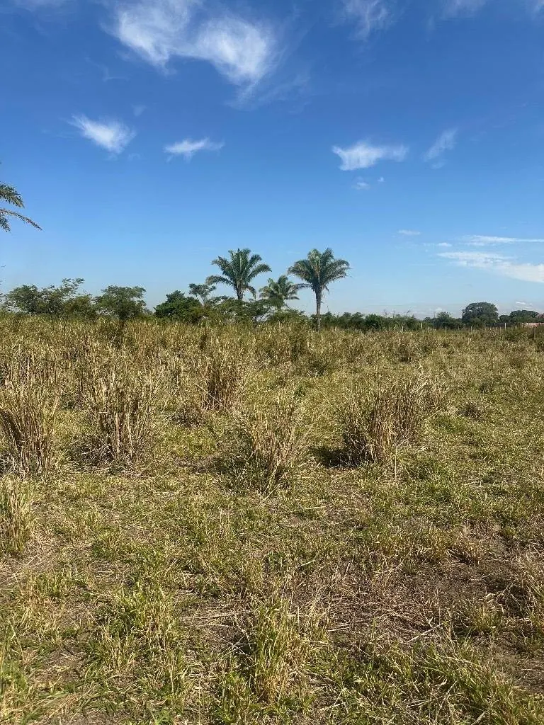 Terreno de 353,91 m² en venta en Villa Alina, Warnes: foto 4 de 5