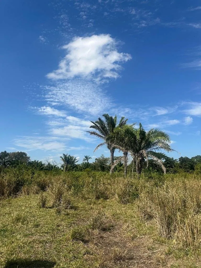 Terreno de 353,91 m² en venta en Villa Alina, Warnes: foto 5 de 5