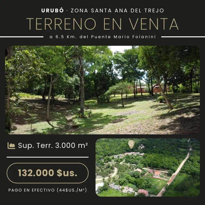 Terreno de 3.000 m² en venta en el Urubó, zona Santa Ana del Trejo: foto 4 de 12