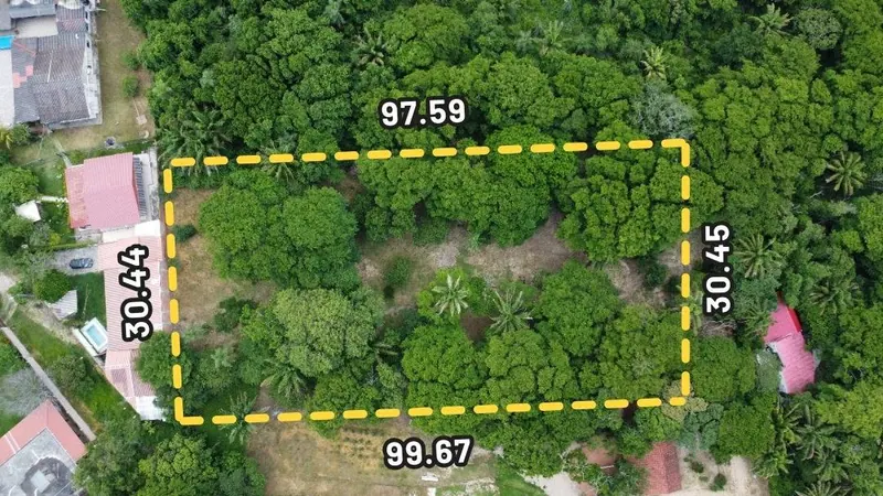 Terreno de 3.000 m² en venta en el Urubó, zona Santa Ana del Trejo: foto 6 de 12