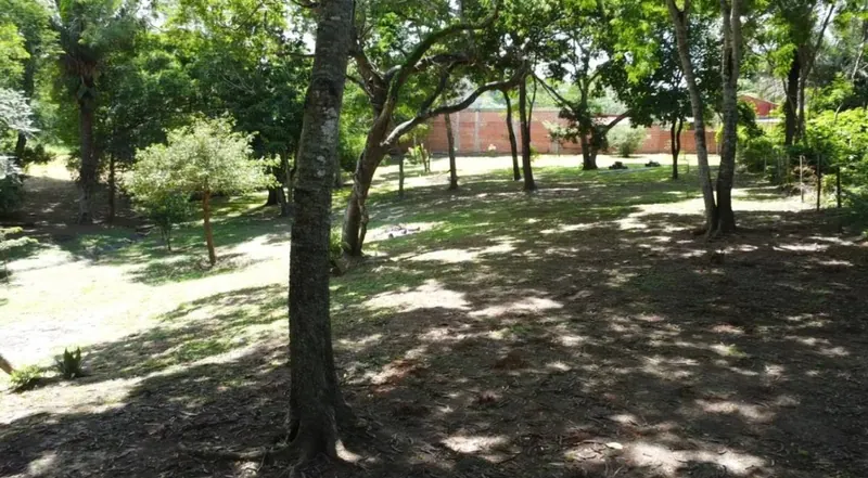 Terreno de 3.000 m² en venta en el Urubó, zona Santa Ana del Trejo: foto 7 de 12